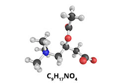 ACETYL-L-CARNITIN ACETYL-L-CARNITIN
