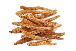 Ginseng-Extrakt Ginseng-Extrakt