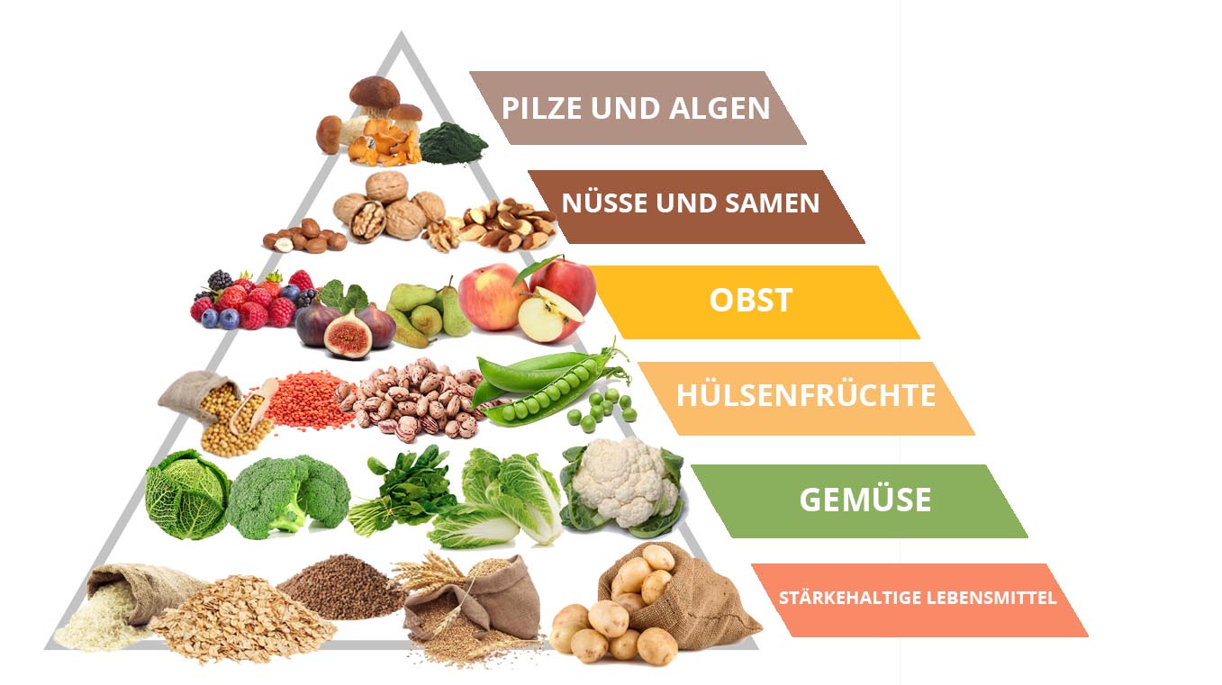 vegane ernährungspyramide